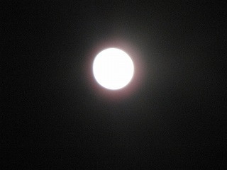 IMG_5653