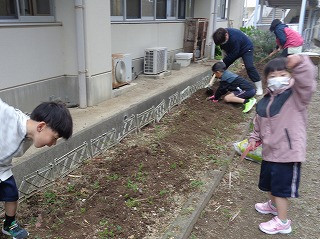 DSC00061