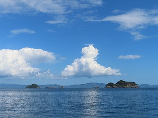 IMG_1354