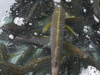 P1000302