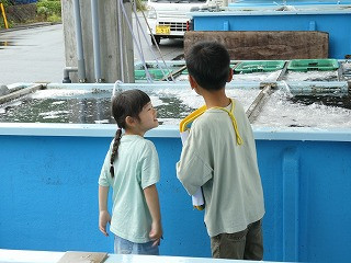P1000308