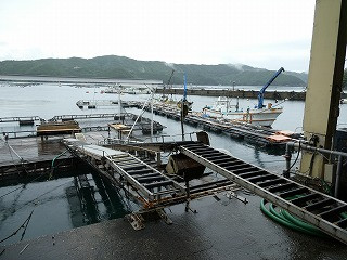 P1000386