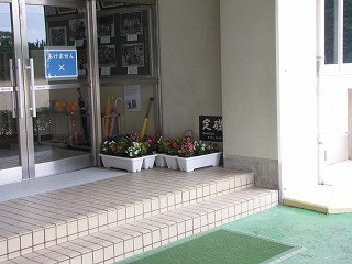 IMG_8862