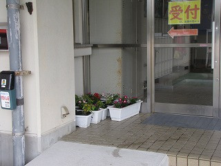 IMG_8863