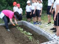 植え方を学び