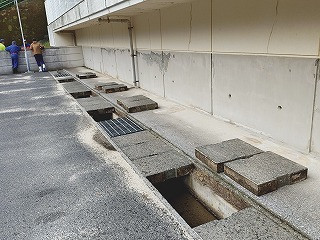 20250525_081628908