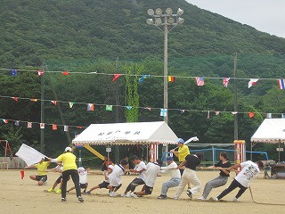 12 (2)