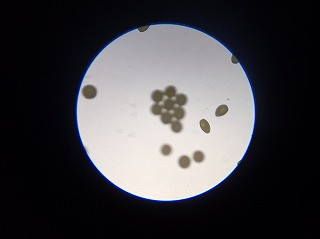 20260904_105757929