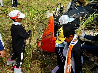 P1001056